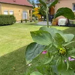 Ket Szobas, Teraszos, Kertes Vendeghaz * Balatonmariafurdo