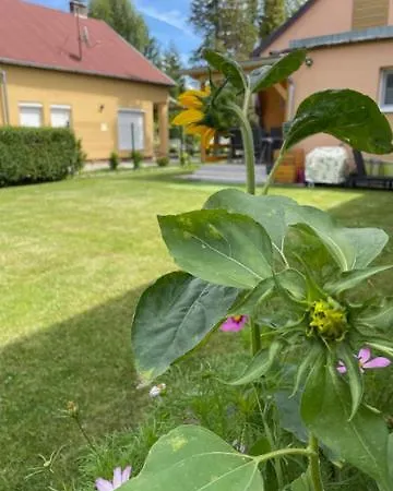 Ket Szobas, Teraszos, Kertes Vendeghaz * Balatonmáriafürdő