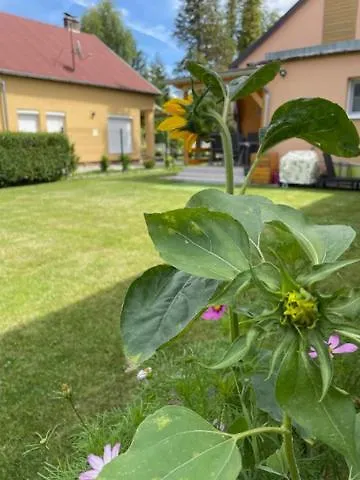 Ket Szobas, Teraszos, Kertes Vendeghaz * Balatonmariafurdo